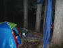 DSC00002.jpg