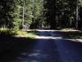 DSC00011.jpg