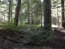 DSC00014.jpg