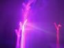 DSC00013.jpg